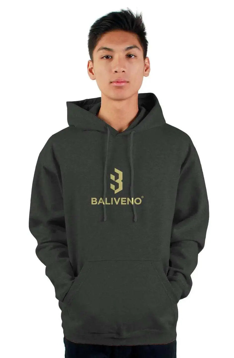 tultex pullover hoody by BALIVENO