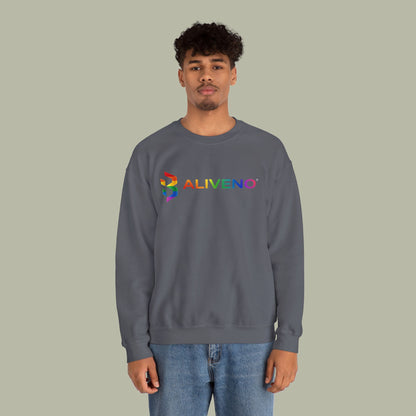 Baliveno Retro Style Crewneck Sweatshirt