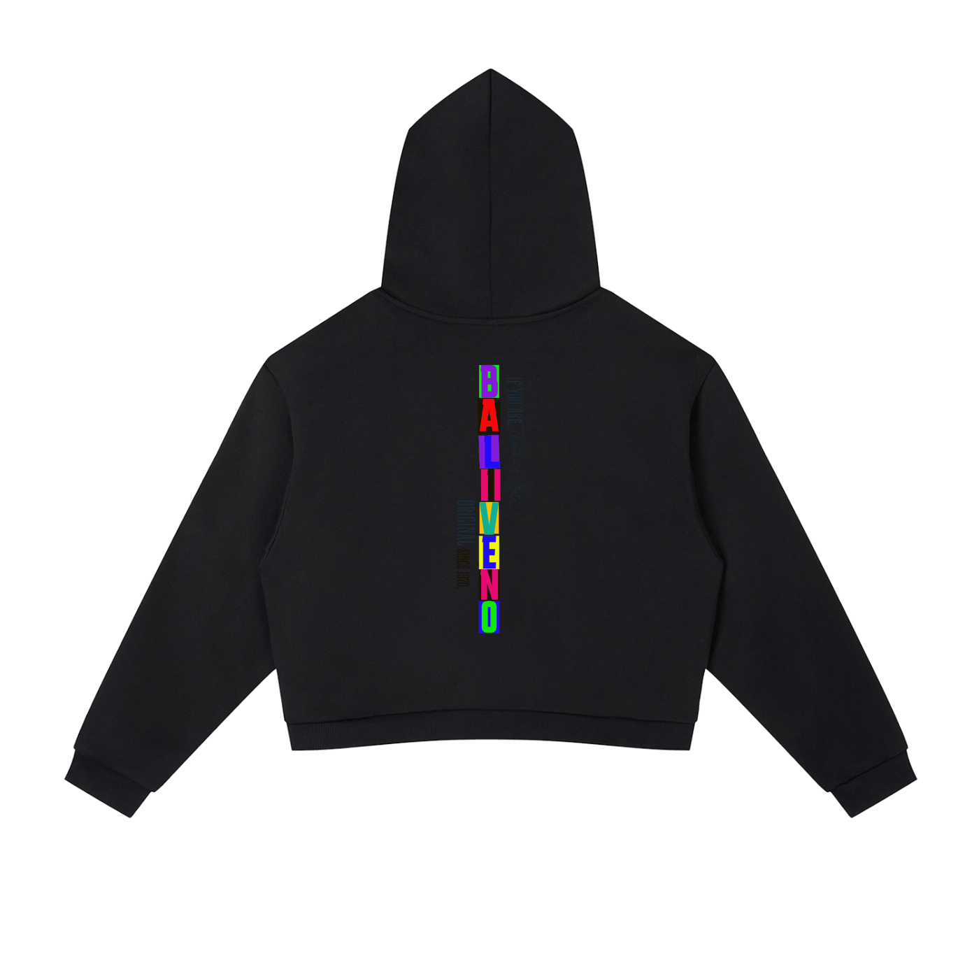 Contrast Side Stripe Cropped Hoodie featuring a colorful vertical design on the back and a stylish cropped cut.