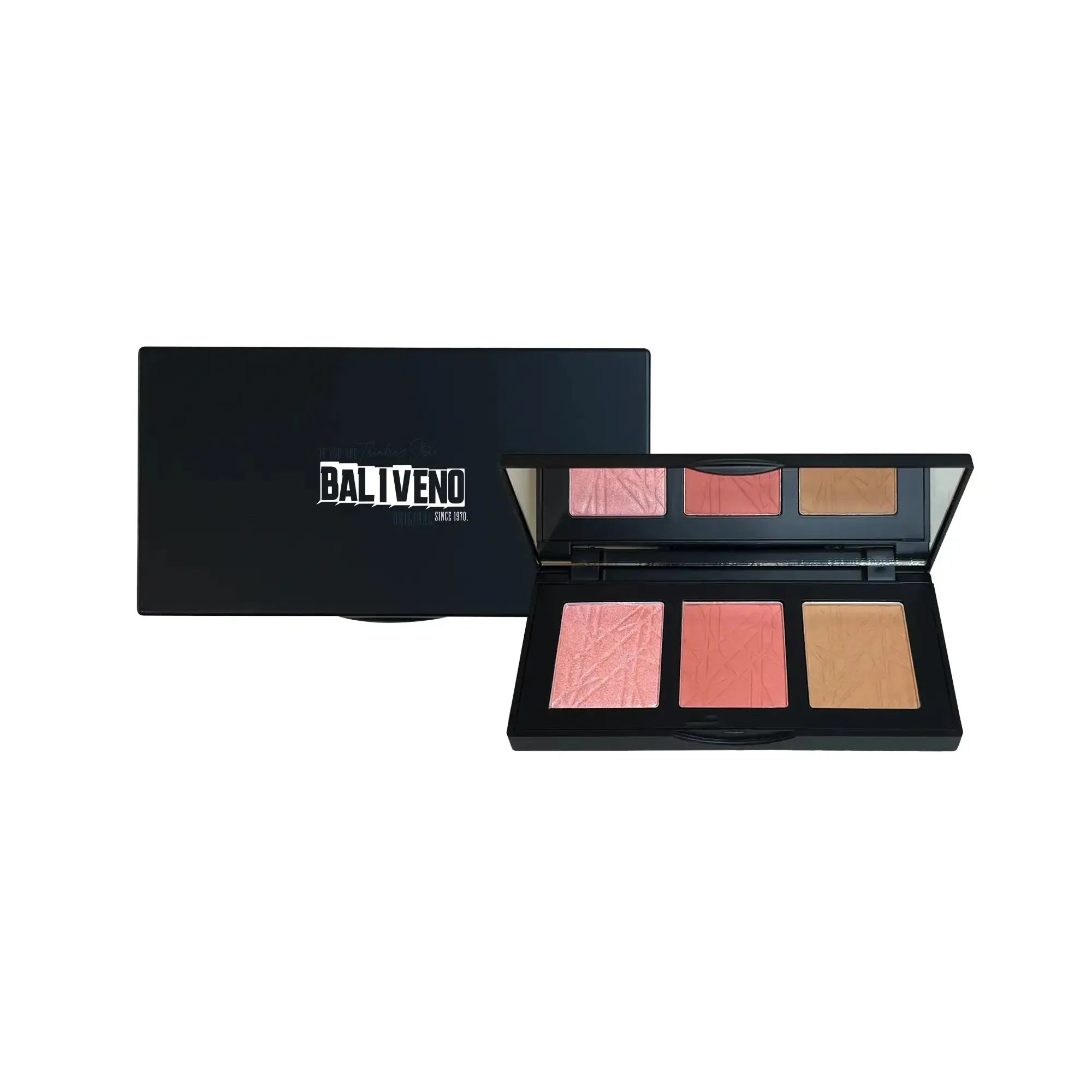 Pro Cheek Palette - Blushy - BALIVENO FASHION HOUSE LTD