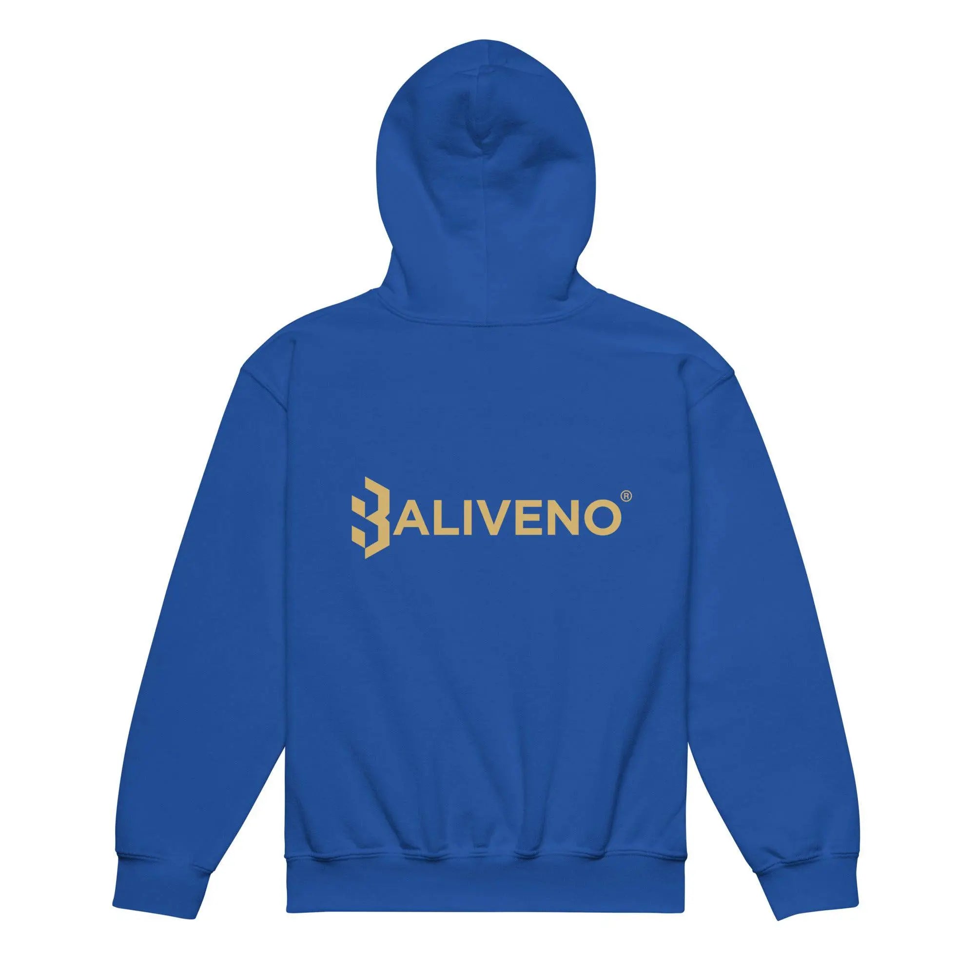 Back To School Vibes Hoodie - BALIVENO