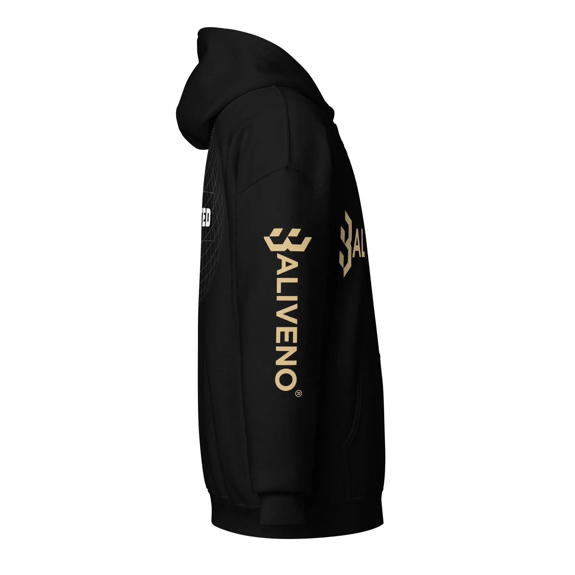 Baliveno heavy blend zip hoodie - BALIVENO