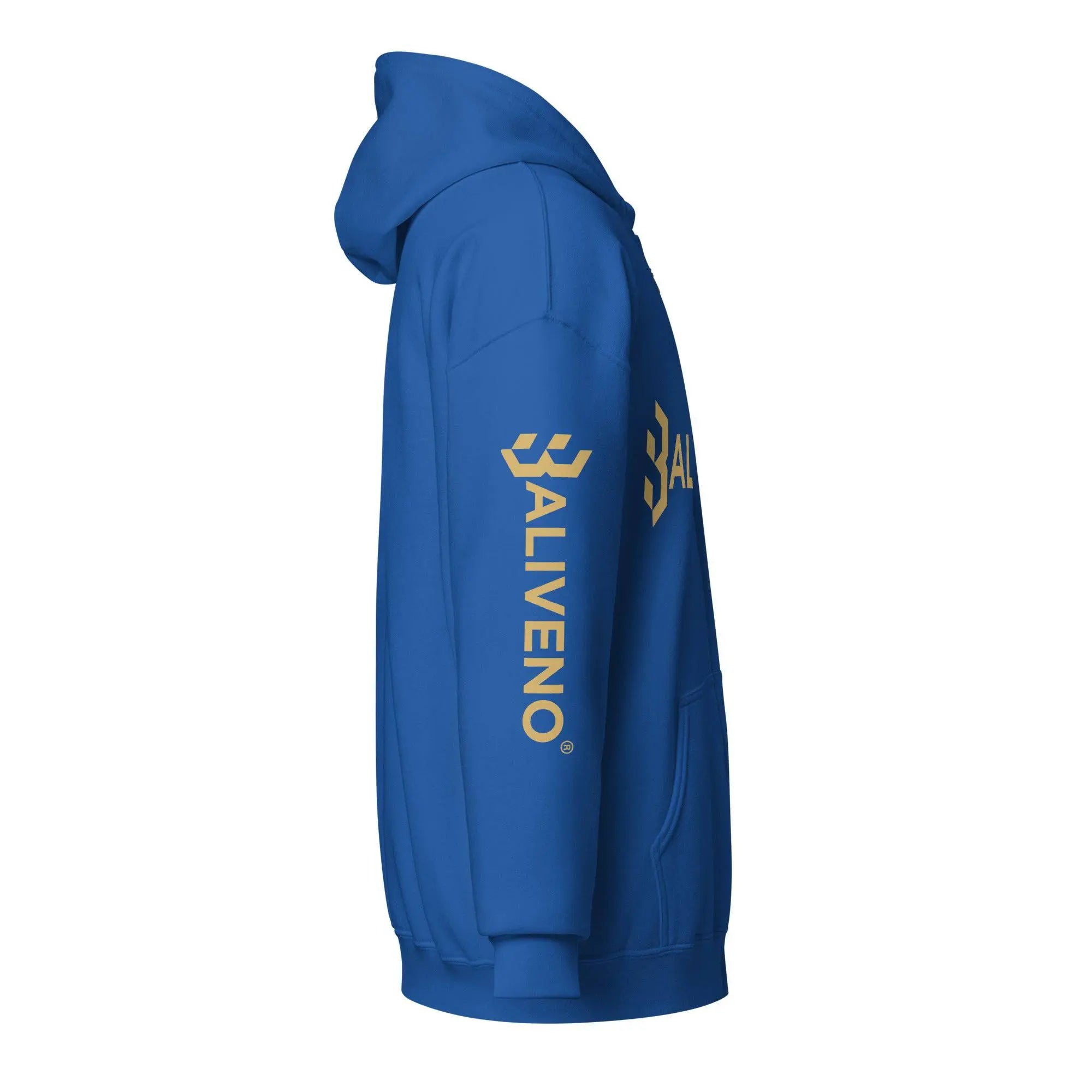 Baliveno heavy blend zip hoodie - BALIVENO