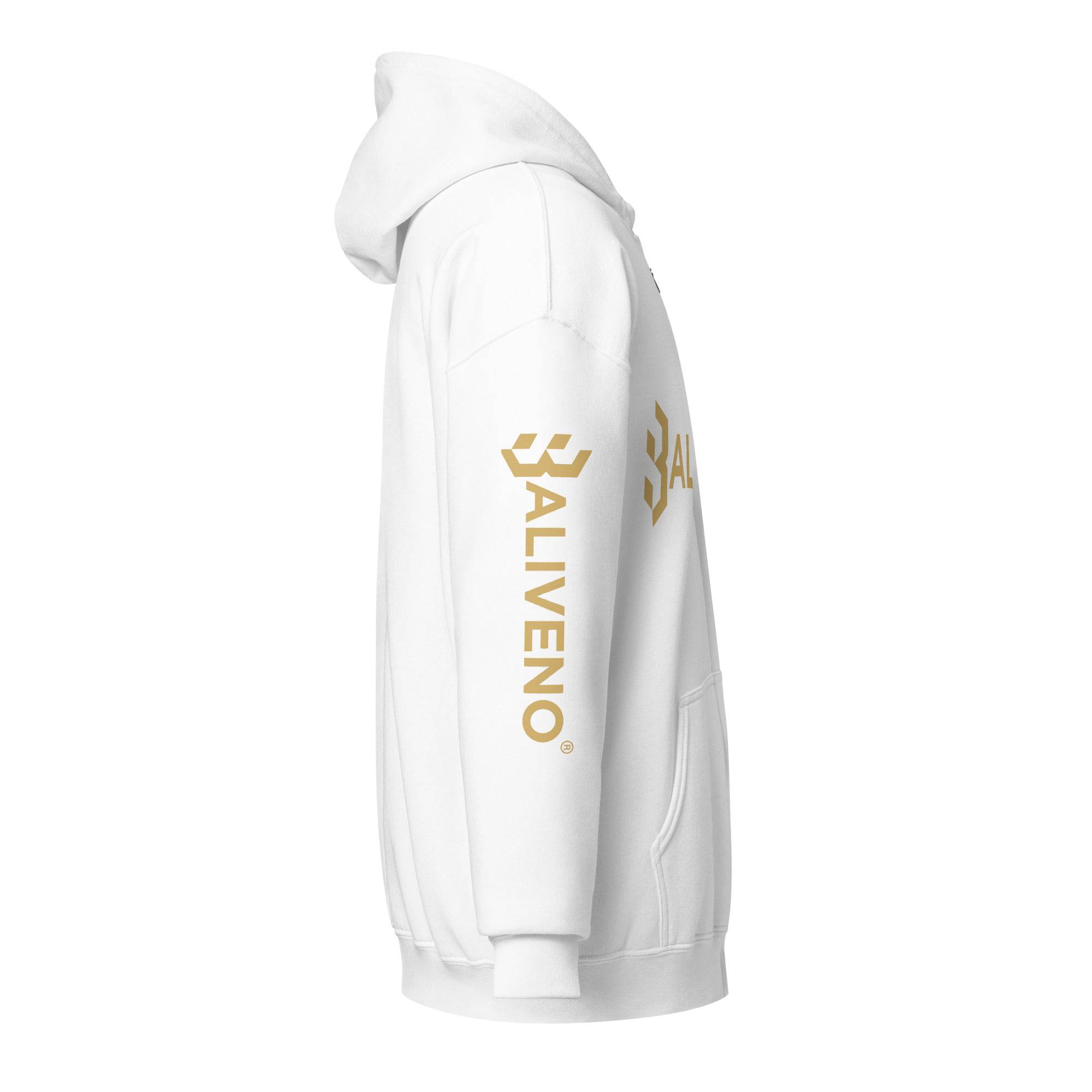 Baliveno heavy blend zip hoodie - BALIVENO