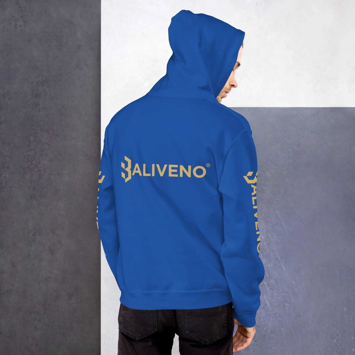 Baliveno Lion HoodieBaliveno Lion HoodieStay cozy and stylish with the ultra-soft Baliveno Lion Graphic Printed Lightweight Pullover Hoodie Sweatshirt. This casual pullover features an eye-catching lion gr[Bal]