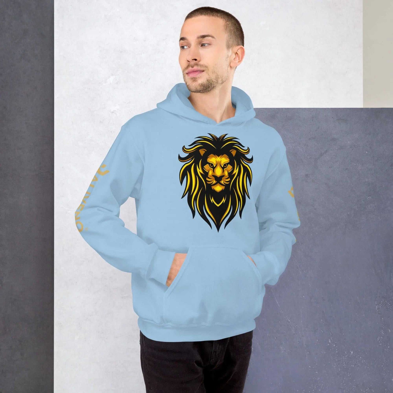 Baliveno Lion HoodieBaliveno Lion HoodieEveryone needs a cozy go-to hoodie to curl up in, so go for one that&