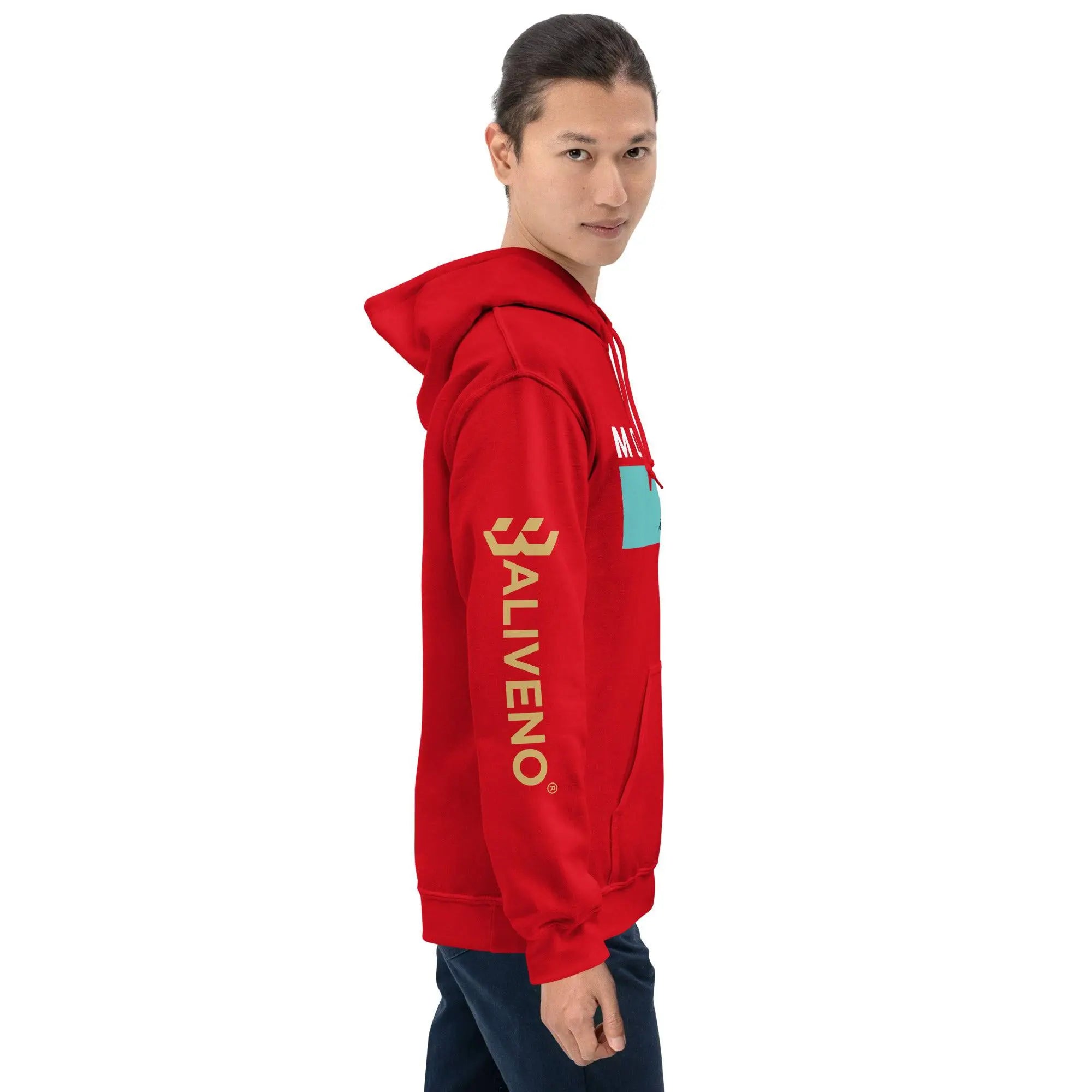 Baliveno Mountain Hoodie - BALIVENO