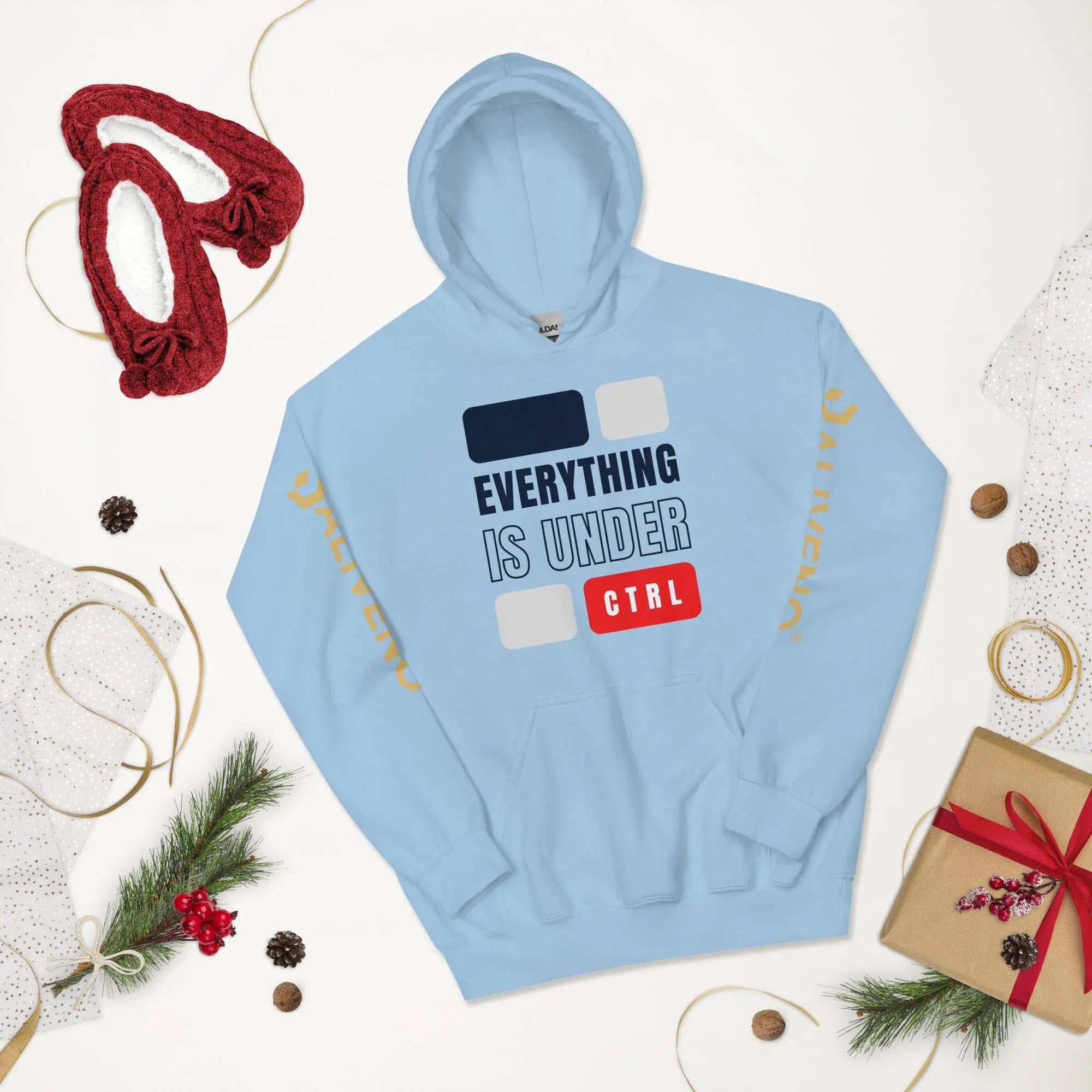 Everything Is Under CTRL Hoodie - BALIVENO