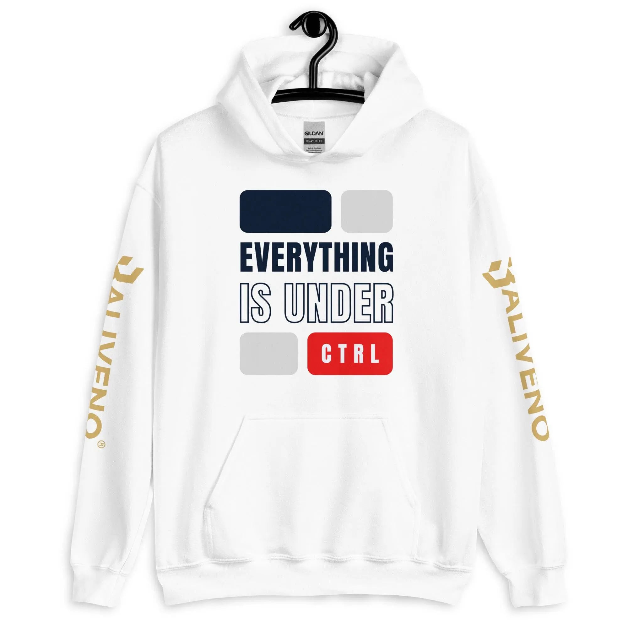 Everything Is Under CTRL Hoodie - BALIVENO