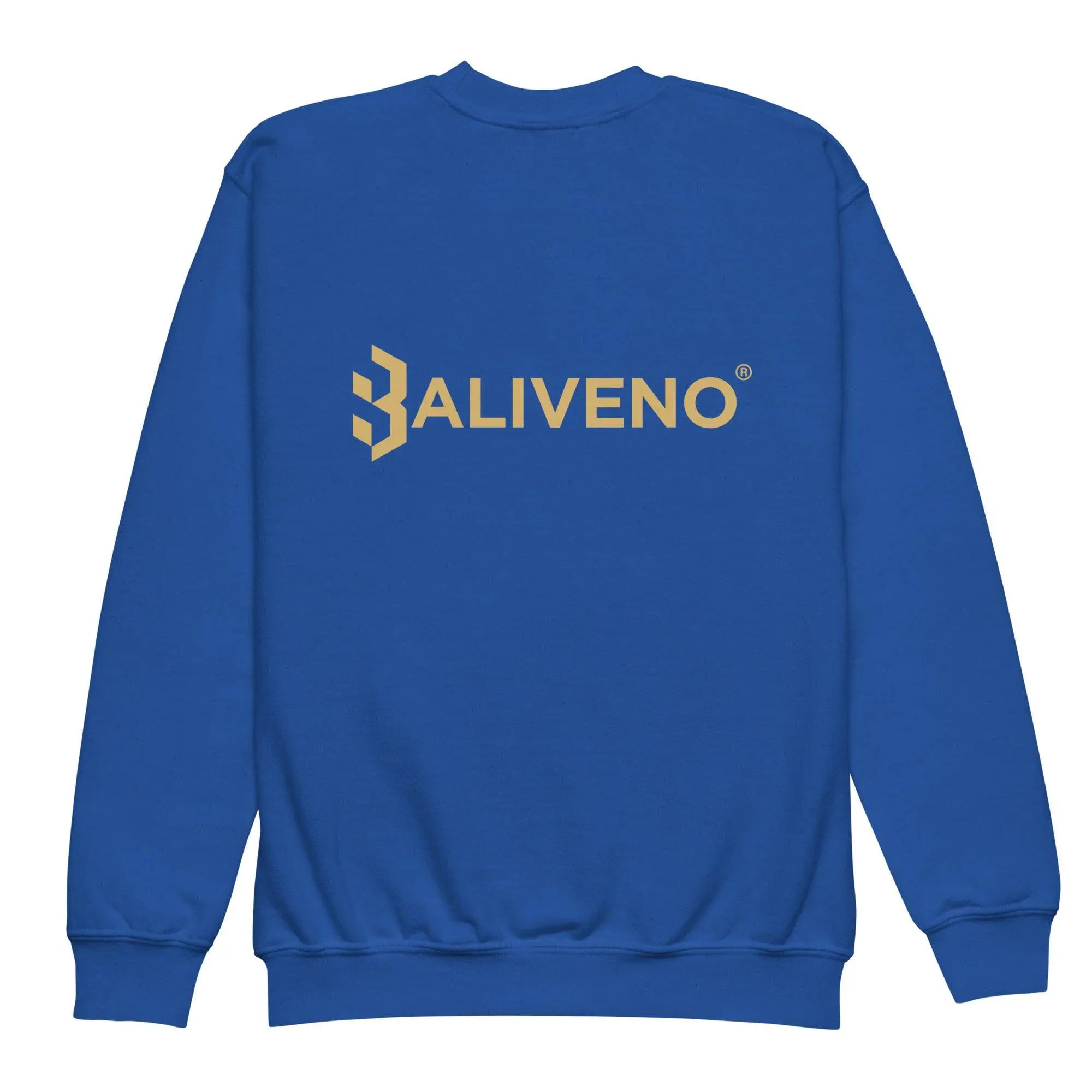 Cheers To The New Year Youth sweatshirt - BALIVENO