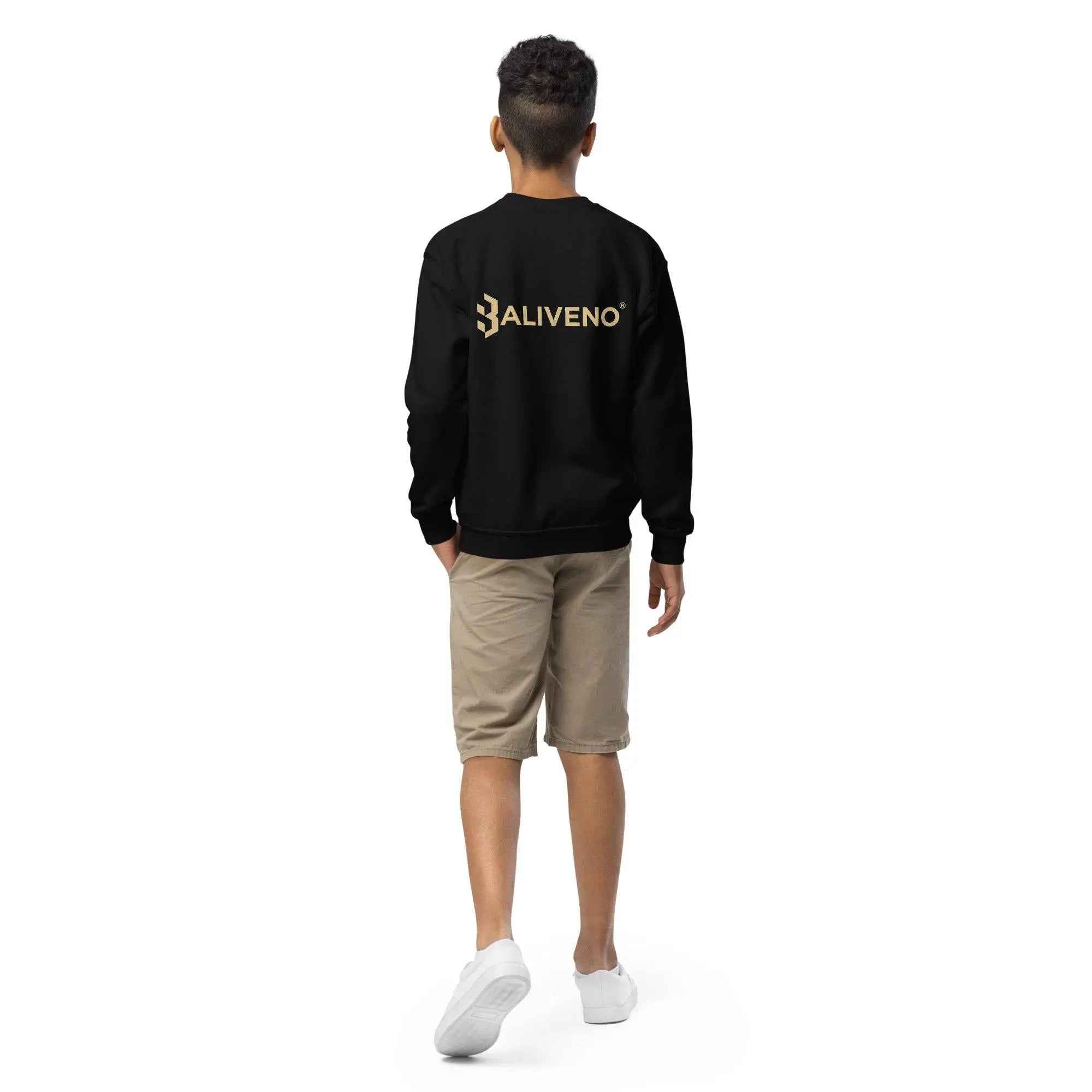 Heroes Sword Youth Sweatshirt - BALIVENO