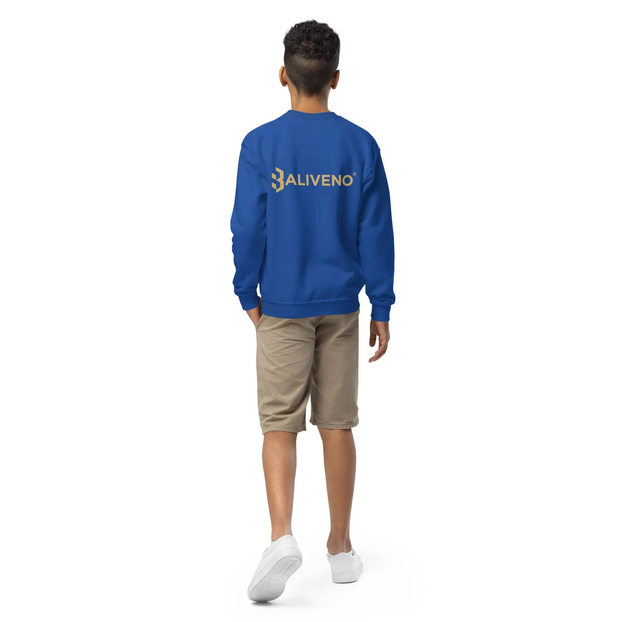 Heroes Sword Youth Sweatshirt - BALIVENO