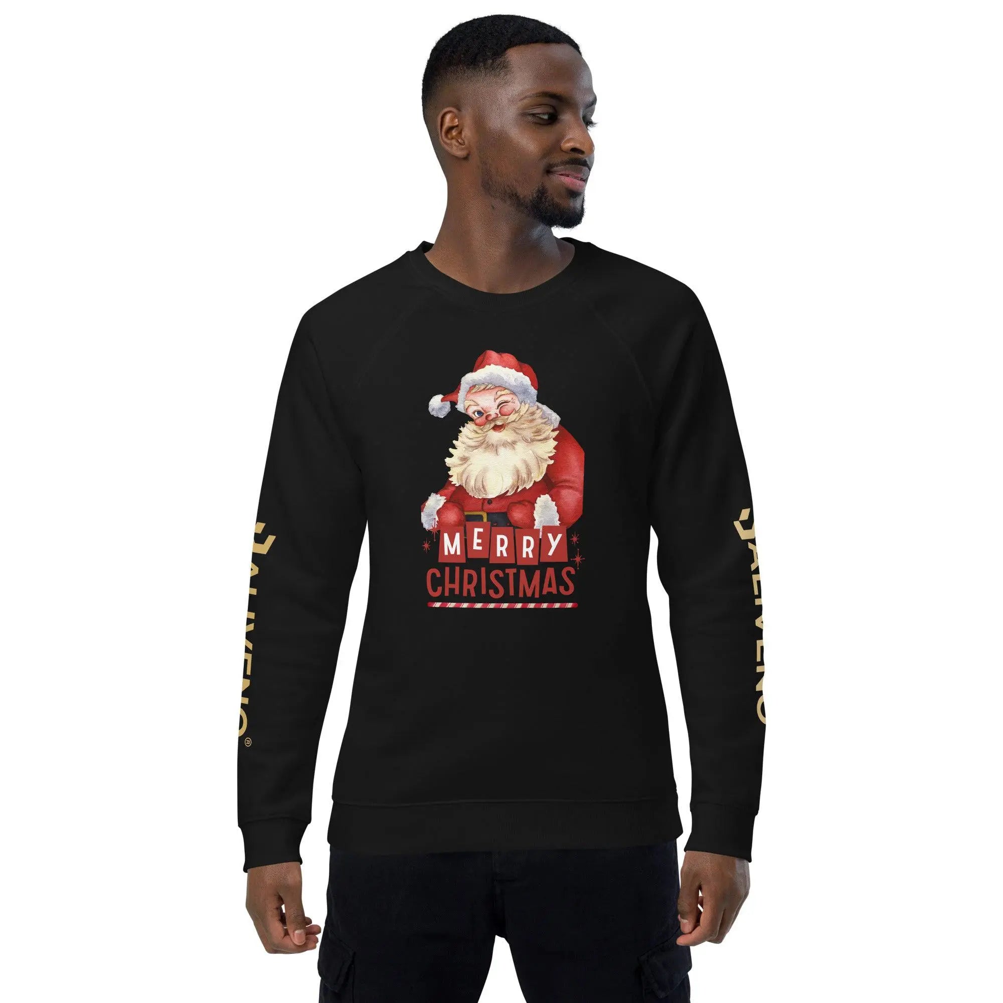 Merry Christmas Raglan Sweatshirt - BALIVENO