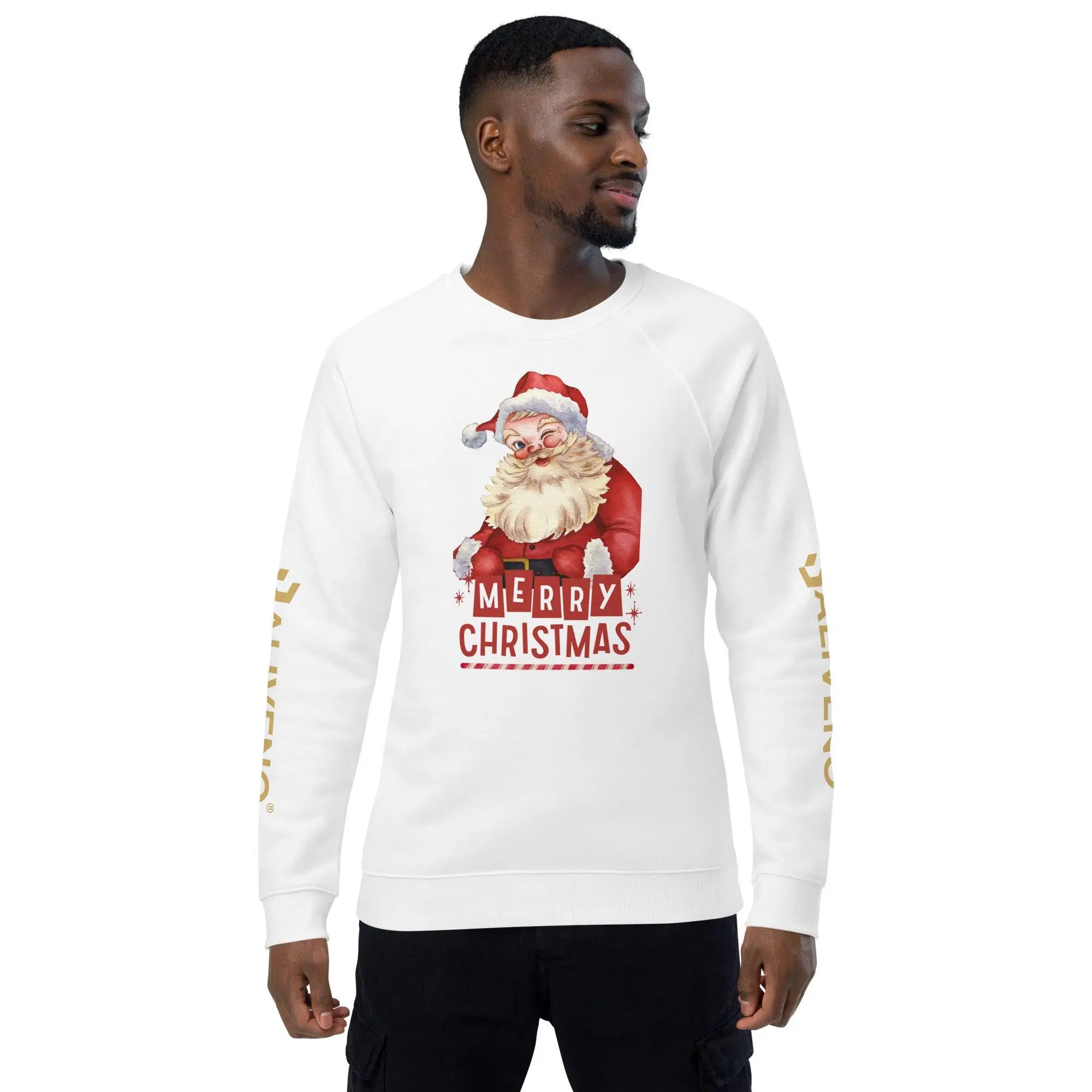 Merry Christmas Raglan Sweatshirt - BALIVENO