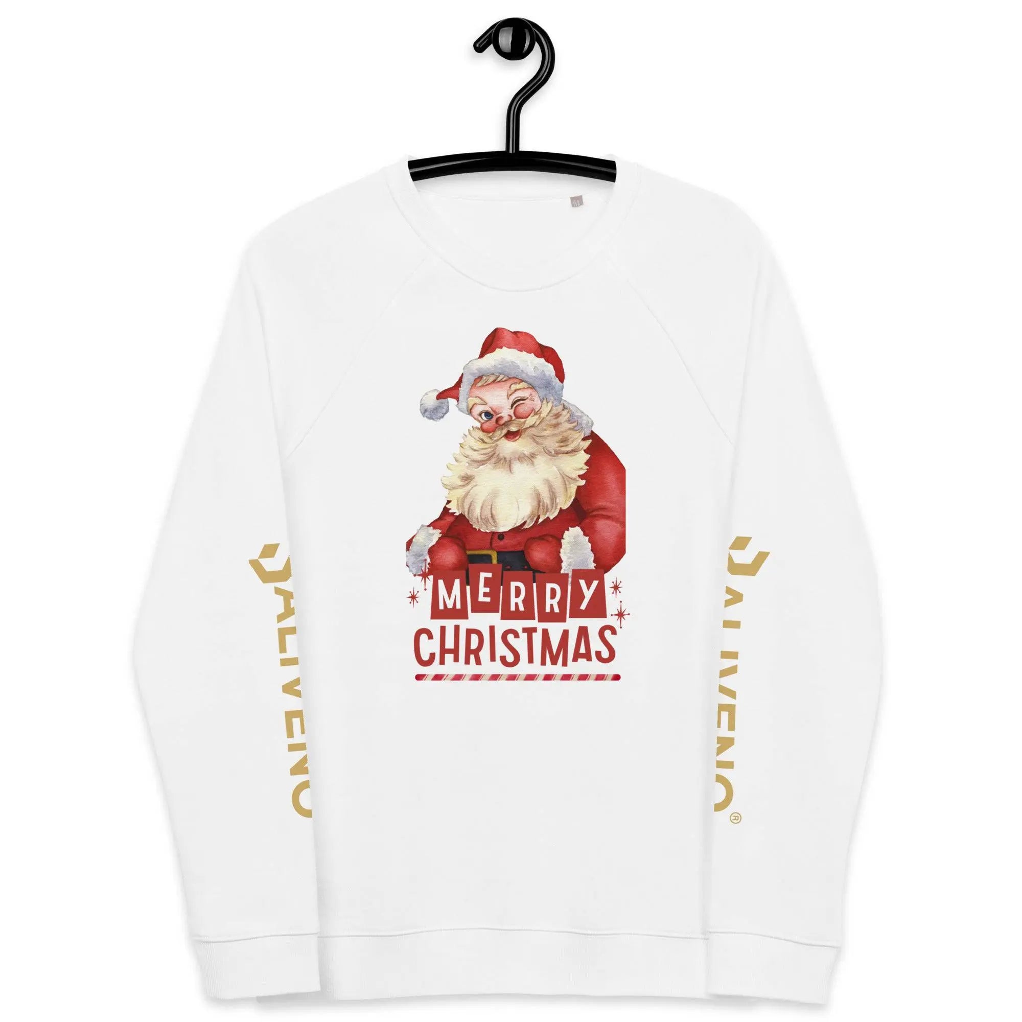 Merry Christmas Raglan Sweatshirt - BALIVENO