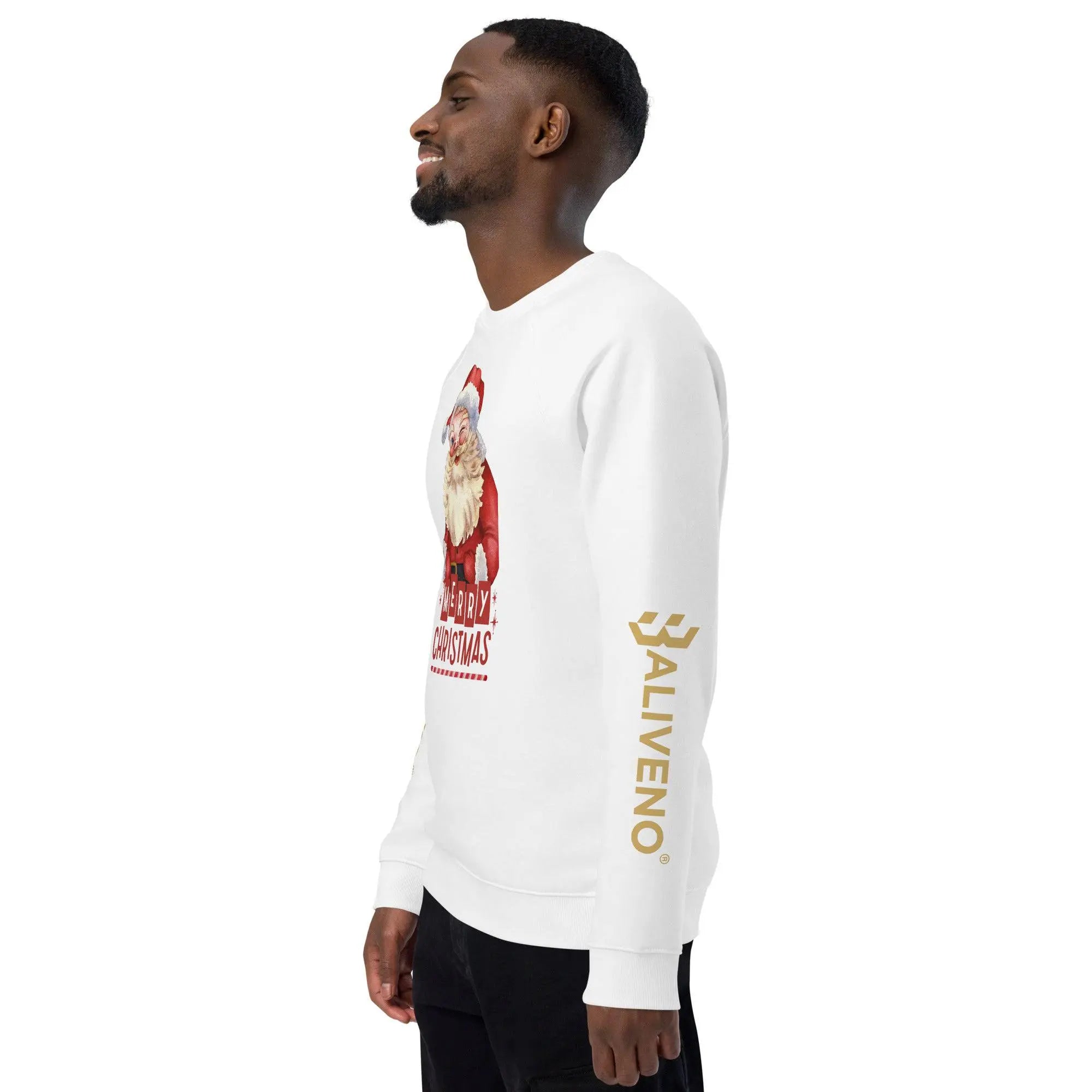 Merry Christmas Raglan Sweatshirt - BALIVENO