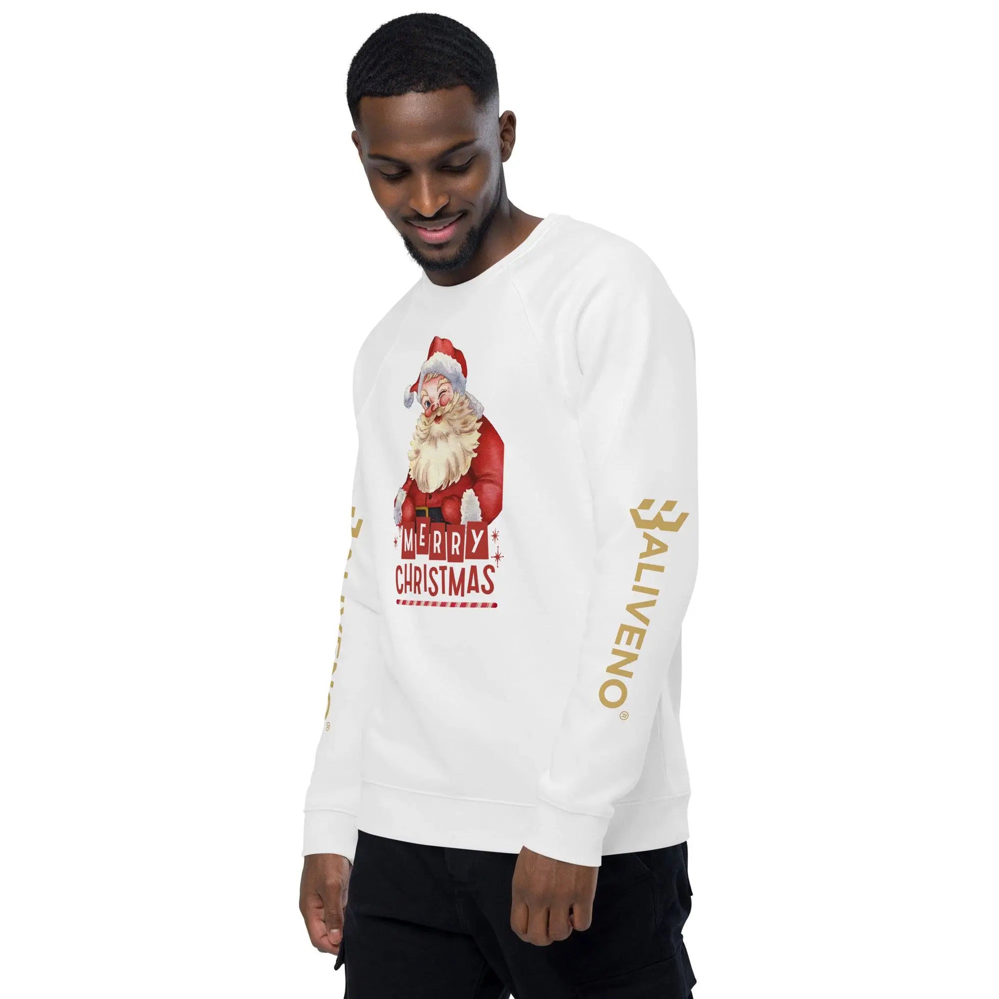 Merry Christmas Raglan Sweatshirt - BALIVENO