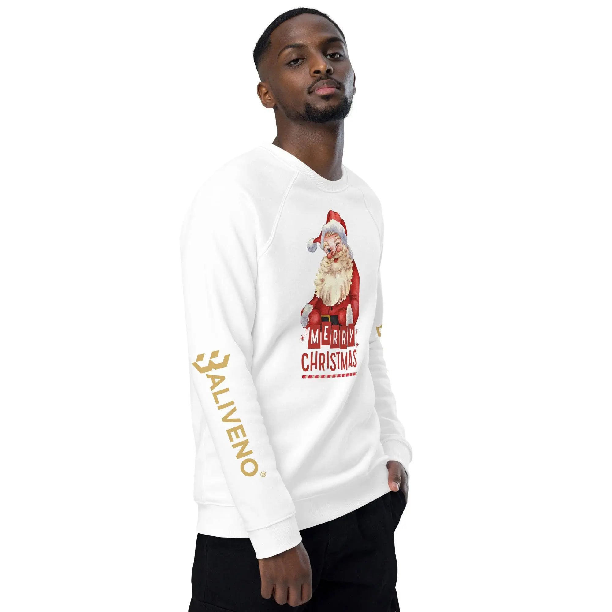 Merry Christmas Raglan Sweatshirt - BALIVENO