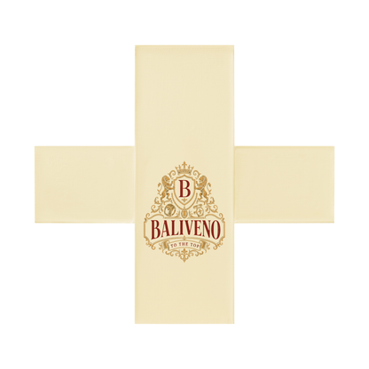 Baliveno Women’s Turtleneck Batwing T-Shirt