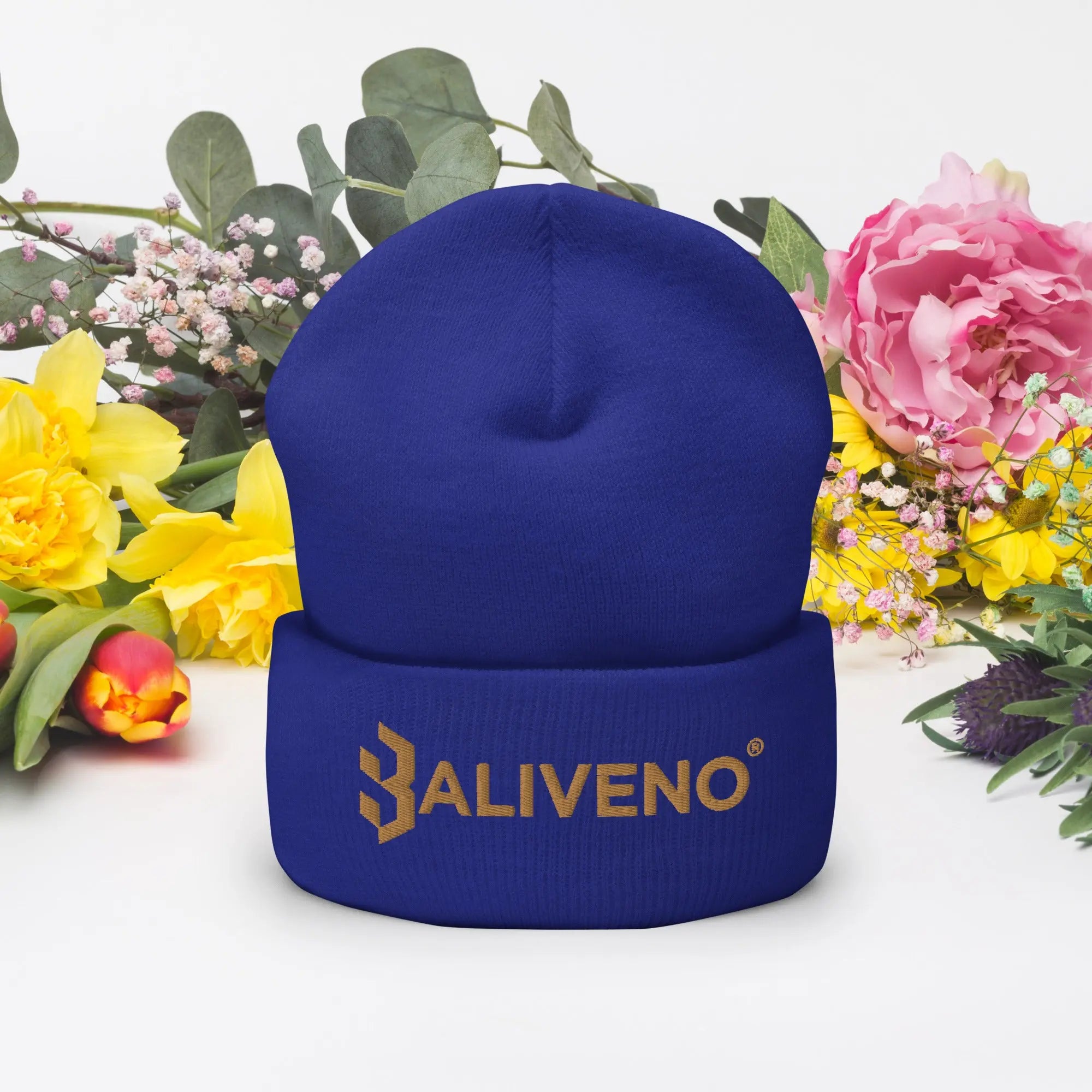 Baliveno Cuffed Beanie - BALIVENO