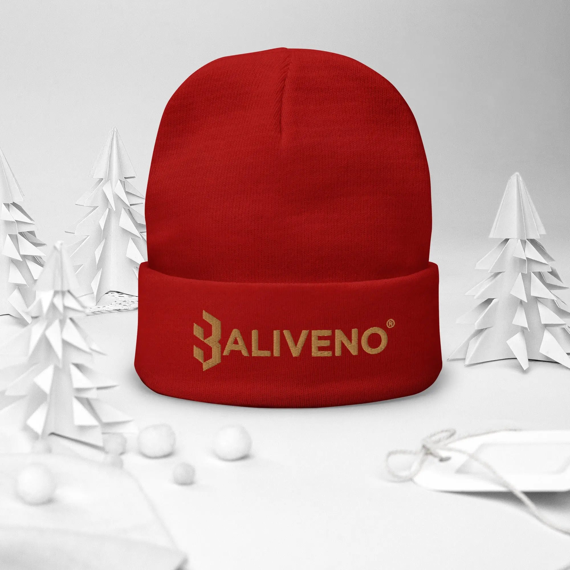 Baliveno Embroidered Beanie - BALIVENO