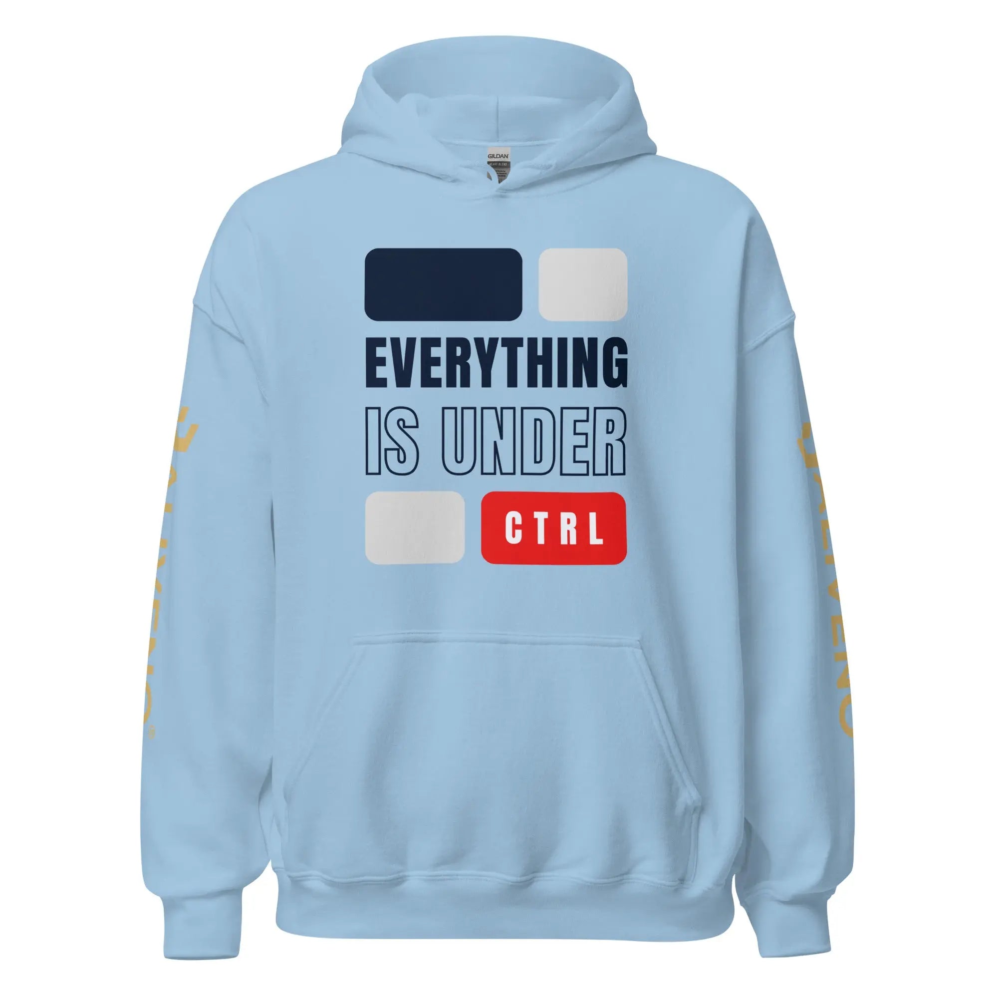 Everything Is Under CTRL Hoodie - BALIVENO