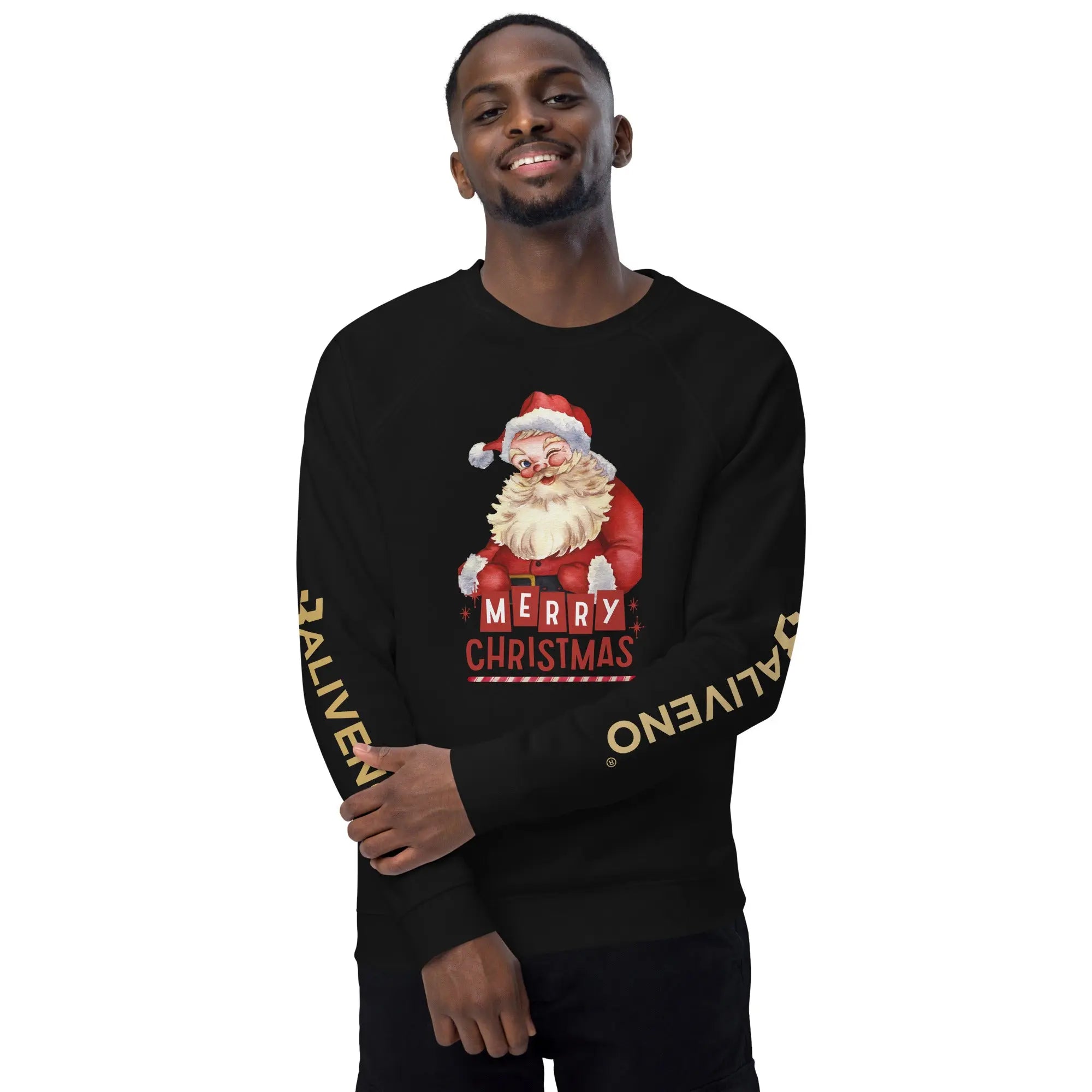 Merry Christmas Raglan Sweatshirt - BALIVENO