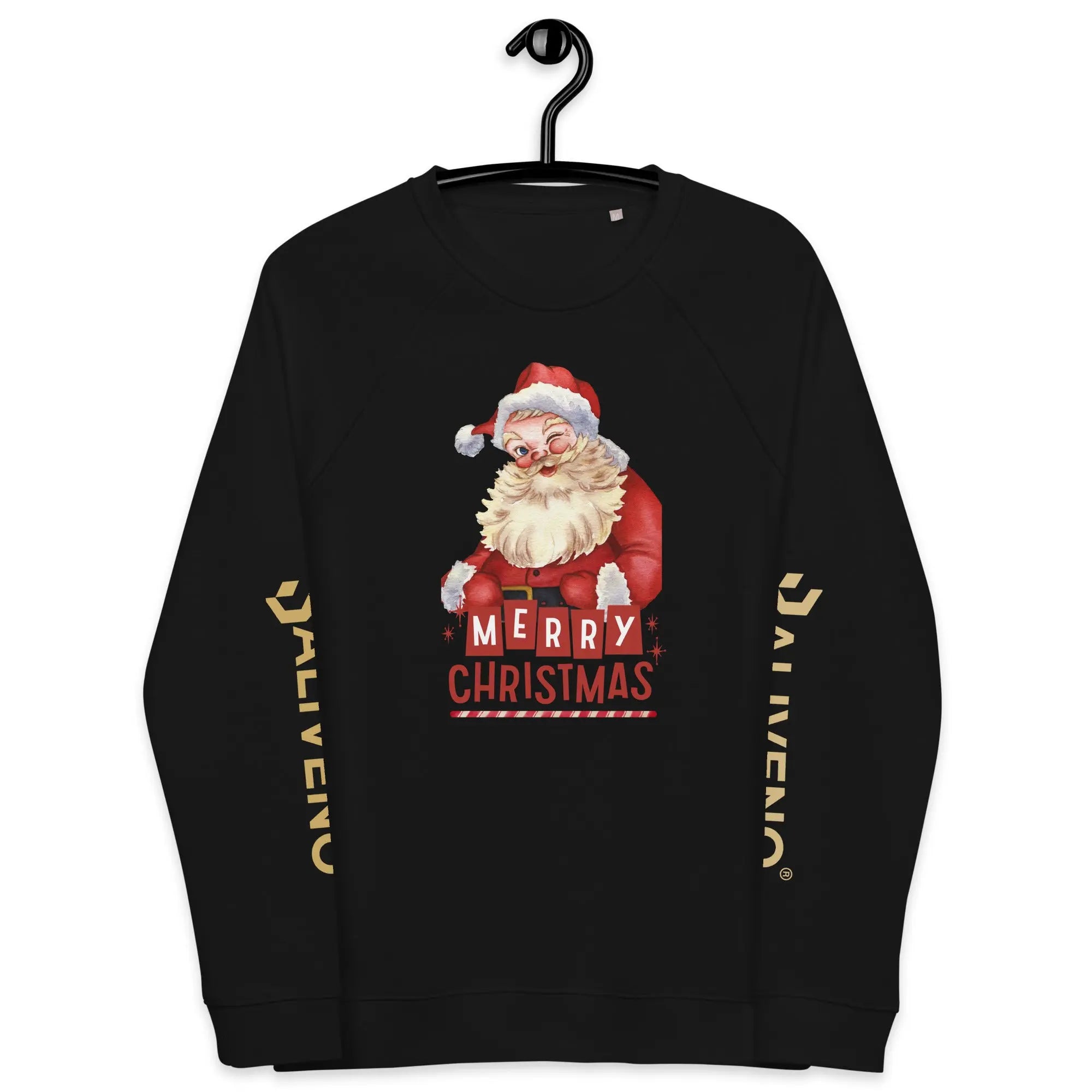 Merry Christmas Raglan Sweatshirt - BALIVENO