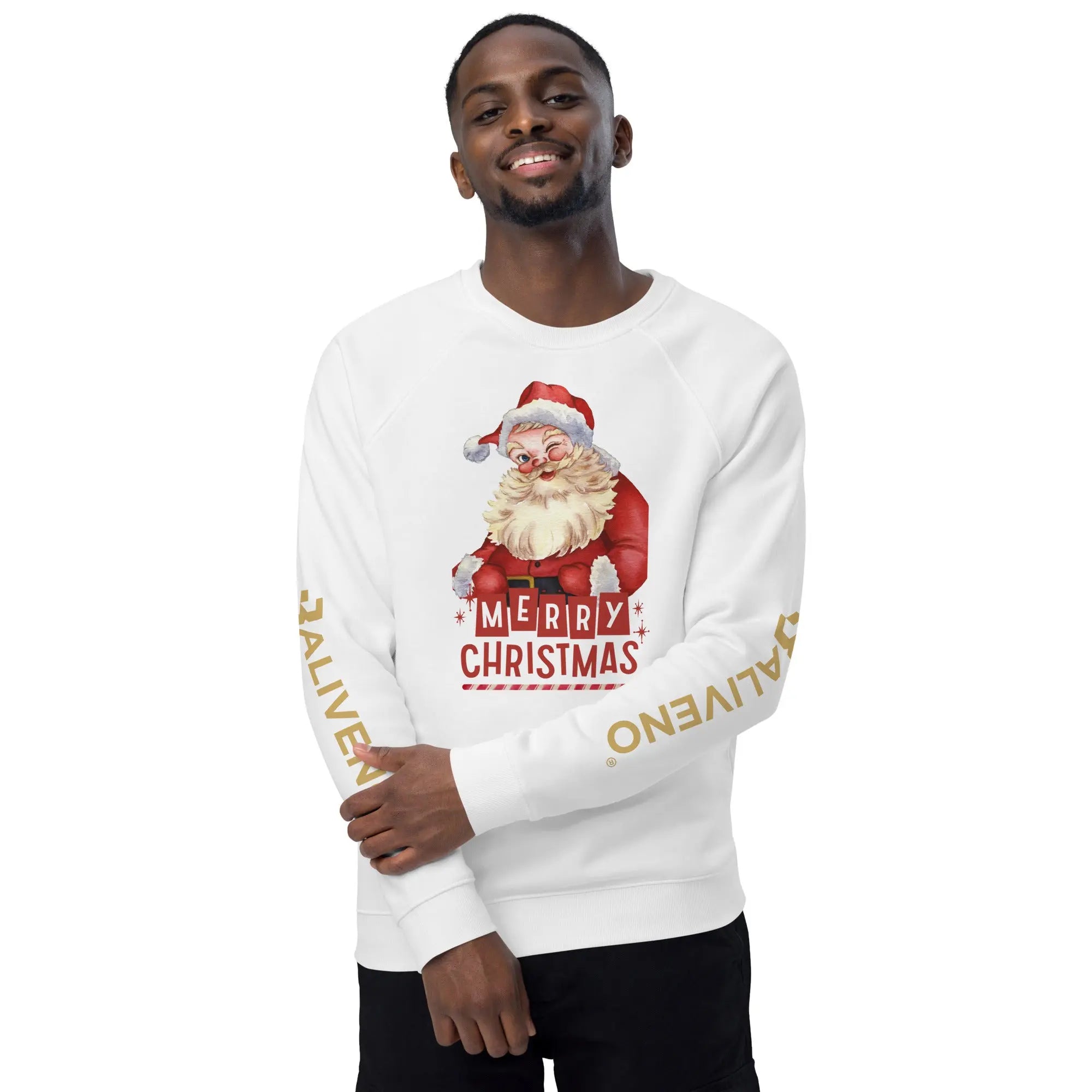 Merry Christmas Raglan Sweatshirt - BALIVENO