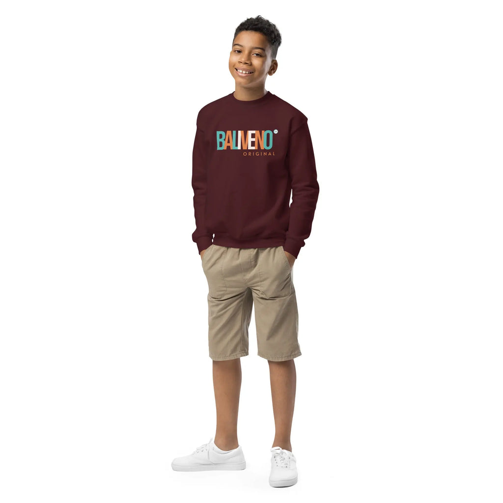 Baliveno Youth Sweatshirt, Printed Sweatshirt, Baliveno Fashion, Cotton Sweatshirt,Baliveno Youth Sweatshirt, Printed Sweatshirt, Baliveno Fashion, CottoCozy and cool, this youth crewneck sweatshirt is designed for every adventure. Made from soft fleece fabric, it’s easy to wear and hassle-free to wash. Whether heade[Bal]