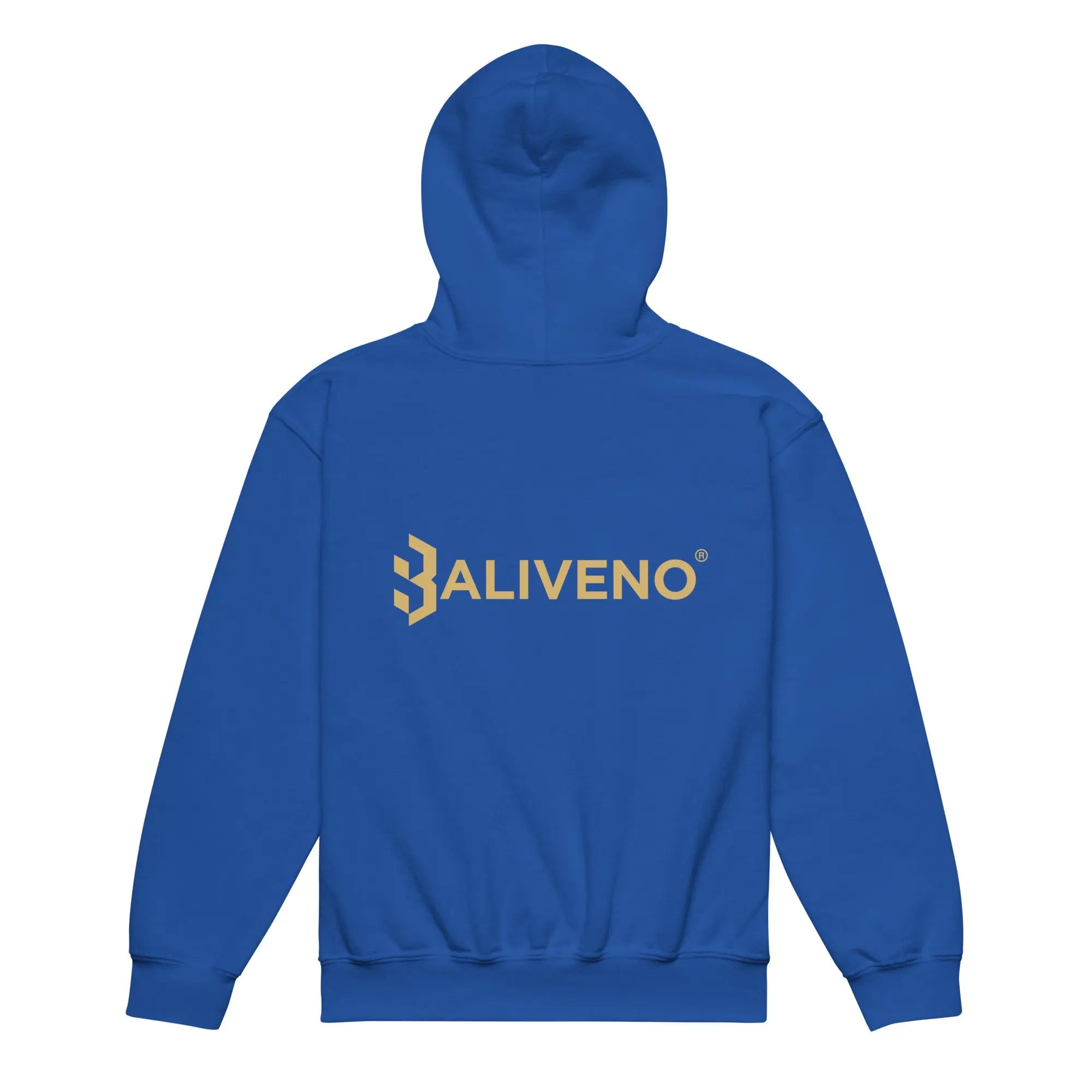 Back To School Vibes Hoodie - BALIVENO